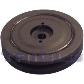Comprar Polea de cigüeñal de TRICLO 425185 a bajo precio de 45,46 €