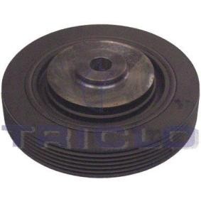 Achetez des Poulie damper (vilebrequin) TRICLO 425188 à prix pour 68,72 €