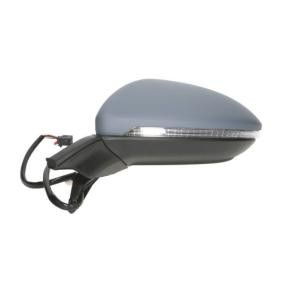 Achetez des Rétroviseur extérieur BLIC 5402-01-2002643P à prix pour 125,18 €