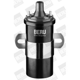 Lichtmaschinenregler für LOTUS von BERU
