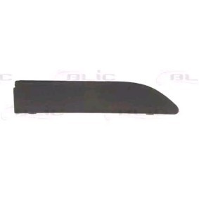 Achetez des Capuchon, crochet de remorquage BLIC 5513-00-0095921P à prix pour 12,04 €