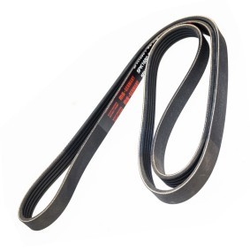 Achetez des Courroie d'alternateur de chez MASTER-SPORT en ligne pour Insignia B Country Tourer (Z18) à prix modérés