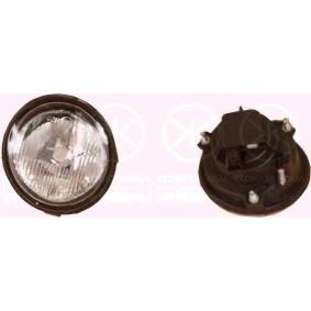 Nebelscheinwerfer 60050281 von KLOKKERHOLM günstig für 43,57 € online kaufen