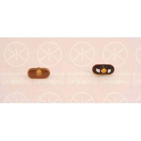 Blinker für RENAULT von KLOKKERHOLM
