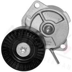 Riemenspanner, Keilrippenriemen 601483 von AUTEX günstig für 46,05 € online kaufen