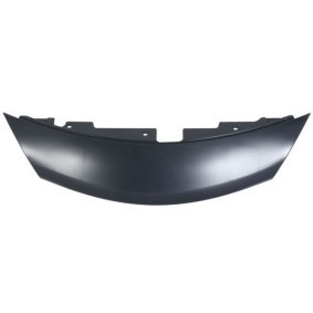 Blende, Kühlergitter 6502-07-1638210P von BLIC günstig für 49,57 € online kaufen