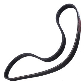 Keilrippenriemen 6PK1195-PCS-MS von MASTER-SPORT günstig für 9,03 € online kaufen