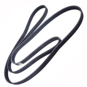 Keilrippenriemen 6PK2404-PCS-MS von MASTER-SPORT günstig für 17,47 € online kaufen