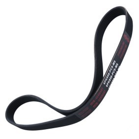 Keilrippenriemen 6PK950-PCS-MS von MASTER-SPORT günstig für 7,55 € online kaufen