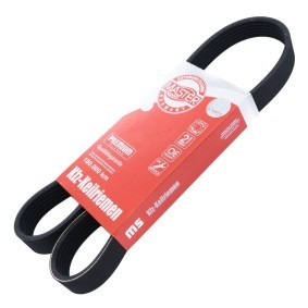 Keilrippenriemen 6PK976-PCS-MS von MASTER-SPORT günstig für 9,03 € online kaufen