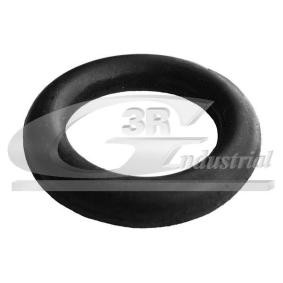 Compre Anel de fixação, silenciador da 3RG 70603 a um preço baixo por 1,32 €