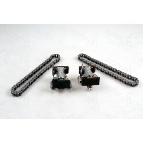 Steuerkettensatz 711338 von AUTEX günstig für 118,64 € online kaufen