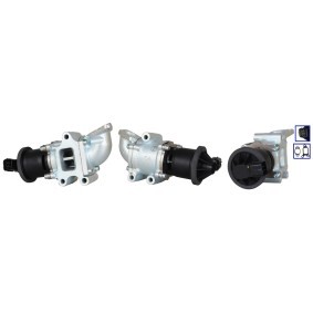 AGR-Ventil 72-0186 von ELSTOCK günstig für 315,40 € online kaufen