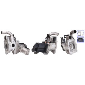 AGR-Ventil 73-0188 von ELSTOCK günstig für 161,96 € online kaufen