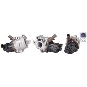 AGR-Ventil 73-0189 von ELSTOCK günstig für 184,58 € online kaufen