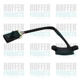 Acquista Impianto elettrico motore da HOFFER online per Trans Sport II a prezzi moderati