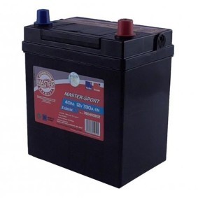 Batterie 780403302 von MASTER-SPORT günstig für 63,31 € online kaufen