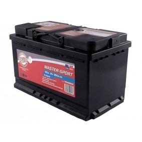 Batterie 780928502 von MASTER-SPORT günstig für 113,75 € online kaufen