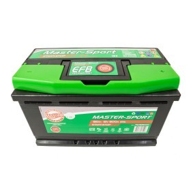 Batterie 790828000 von MASTER-SPORT günstig für 164,96 € online kaufen