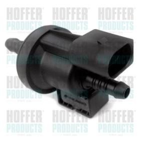 Compre Válvula de ventilação / respiro, depósito de combustível da HOFFER 8029412 a um preço baixo por 30,67 €