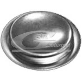 Comprar Tapones, taladro de montaje eje de balancín de 3RG 84051 a bajo precio de 2,14 €