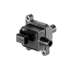 Zündspule 85.30175 von SIDAT günstig für 81,49 € online kaufen