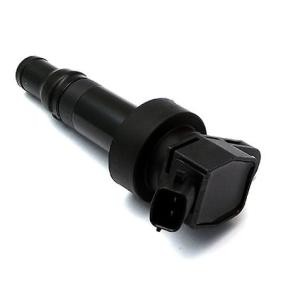 Zündspule 85.30413 von SIDAT günstig für 67,51 € online kaufen