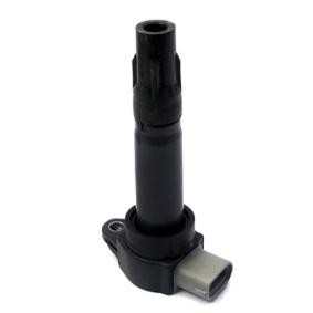 Zündspule 85.30425 von SIDAT günstig für 96,11 € online kaufen
