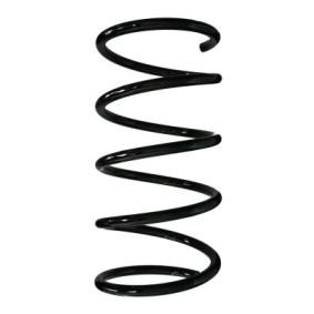 Fahrwerksfeder 85110 von SPIDAN günstig für 82,09 € online kaufen
