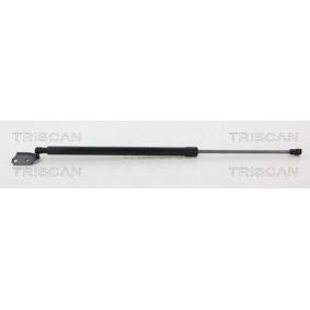 Heckklappendämpfer 8710 50259 von TRISCAN günstig für 24,54 € online kaufen