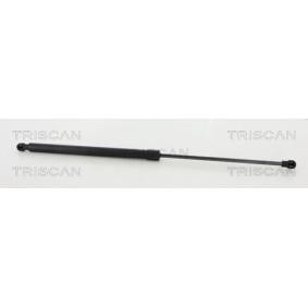 Heckklappendämpfer 8710 50260 von TRISCAN günstig für 17,47 € online kaufen