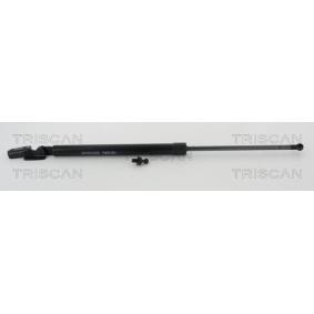 Heckklappendämpfer 8710 68217 von TRISCAN günstig für 35,62 € online kaufen