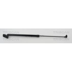 Heckklappendämpfer 8710 68220 von TRISCAN günstig für 25,92 € online kaufen