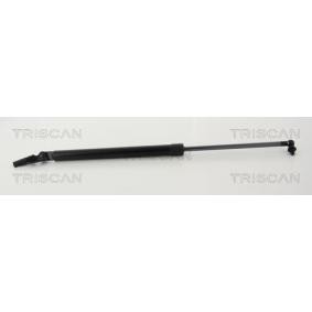 Heckklappendämpfer 8710 68222 von TRISCAN günstig für 43,23 € online kaufen