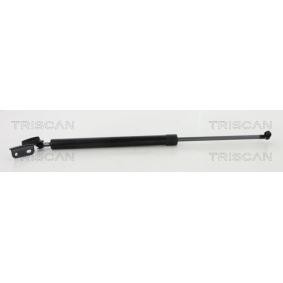 Heckklappendämpfer 8710 68223 von TRISCAN günstig für 43,23 € online kaufen