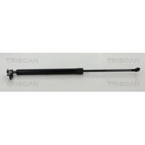 Heckklappendämpfer 8710 68225 von TRISCAN günstig für 35,65 € online kaufen