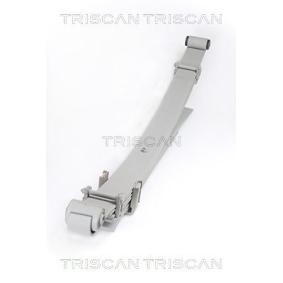 Kjøp Bladfjær av TRISCAN 8765 42010 til den lave prisen 6085,85 NOK
