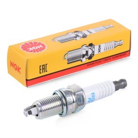 Zündkerze 1691 von NGK günstig für 7,40 € online kaufen