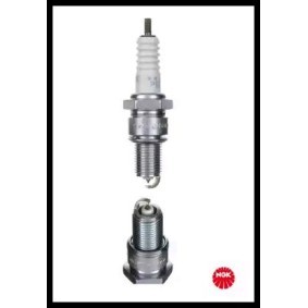 Zündkerze 6248 von NGK günstig für 15,41 € online kaufen