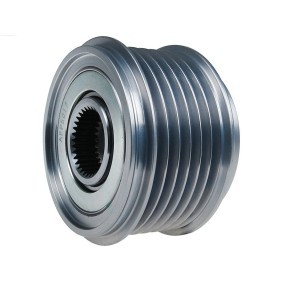 Compre Roda livre do alternador da AS-PL AFP5017 a um preço baixo por 27,26 €