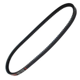 Keilriemen AVX-11.5X755-PCS-MS von MASTER-SPORT günstig für 3,06 € online kaufen