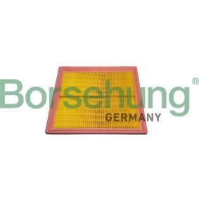 Acquista Filtro aria da Borsehung B12438 a buon mercato per soli 12,14 €