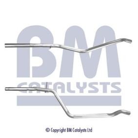 Compre Tubo de escape da BM CATALYSTS BM50521 a um preço baixo por 115,05 €