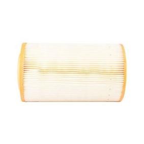 Køb Luftfilter af BSG BSG 25-135-001 til den lave pris 325,08 DKK