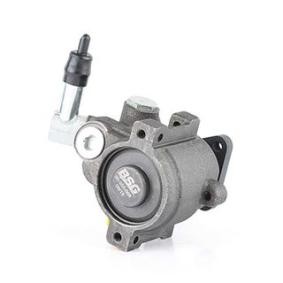 Köp Servopump av BSG BSG 30-355-006 till det låga priset 1705,69 kr