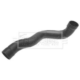 Ladeluftschlauch BTH1354 von BORG & BECK günstig für 51,32 € online kaufen