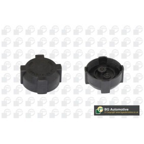 Compre Tampa de fecho, recipiente de líquido de refrigeração da BGA CC3027 a um preço baixo por 6,91 €