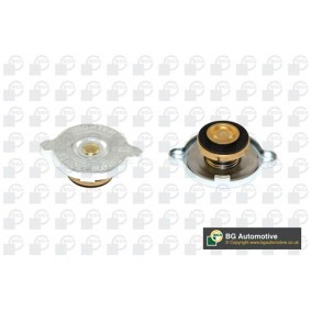 Compre Tampa de fecho, recipiente de líquido de refrigeração da BGA CC3041 a um preço baixo por 9,10 €