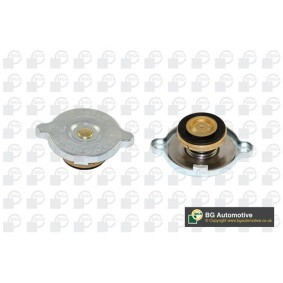 Compre Tampa de fecho, recipiente de líquido de refrigeração da BGA CC3044 a um preço baixo por 4,54 €