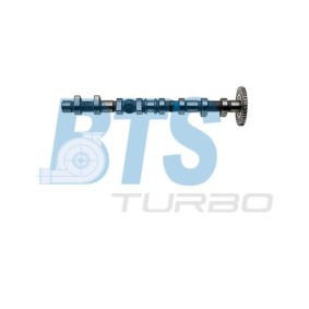 Nockenwelle CP11919 von BTS TURBO günstig für 172,12 € online kaufen